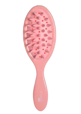 فرشاة الشامبو للشعر من ايفيني